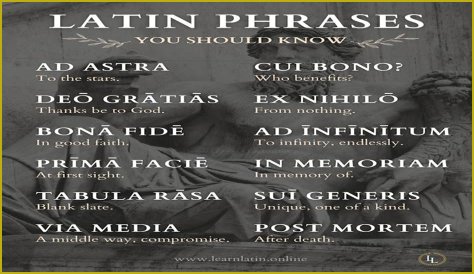 A Profile Of A Latin Beauty